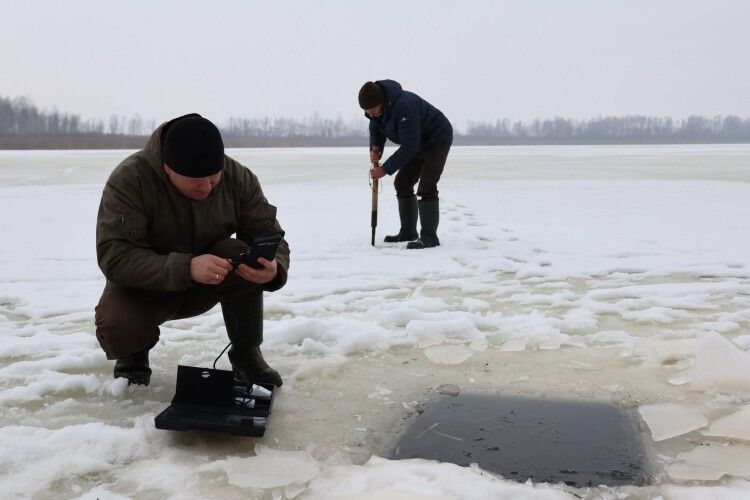 Які водойми Волині мають найнижчий рівень кисню