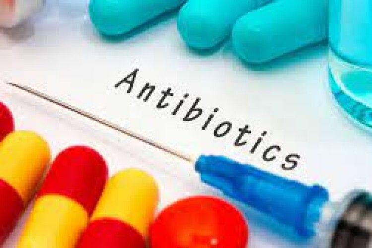Стійкі до антибіотиків бактерії вбили у 2019 році понад 1,2 млн людей. Це більше смертей, ніж від малярії чи СНІДу