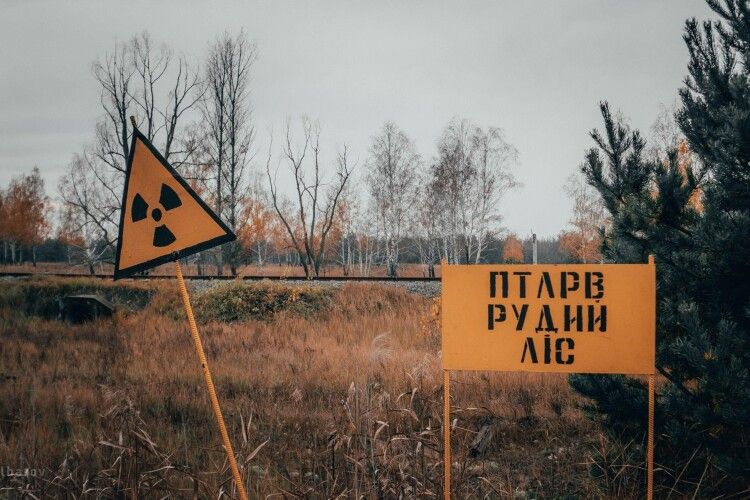 Горить 10 тис. гектарів чорнобильського радіоактивного лісу