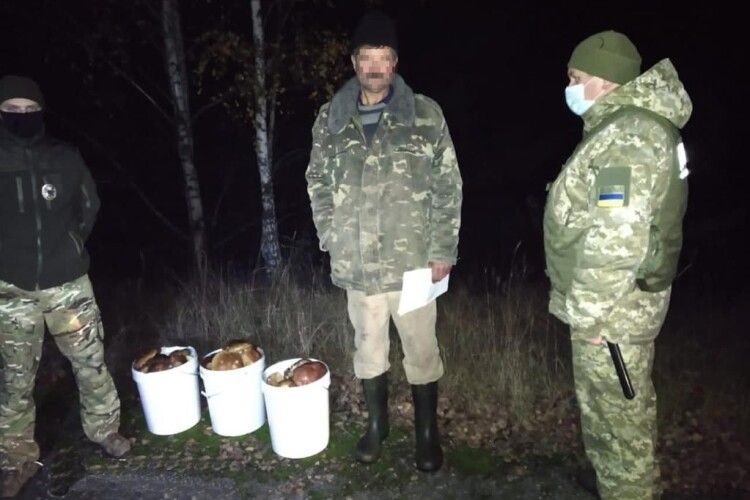 З «чорнобильської зони» несли близько 40 кілограмів грибів (Фото)