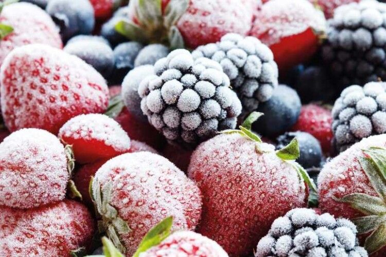 Асоціація «Ягідництво України» поповнився новим членом з Волині (Відео)