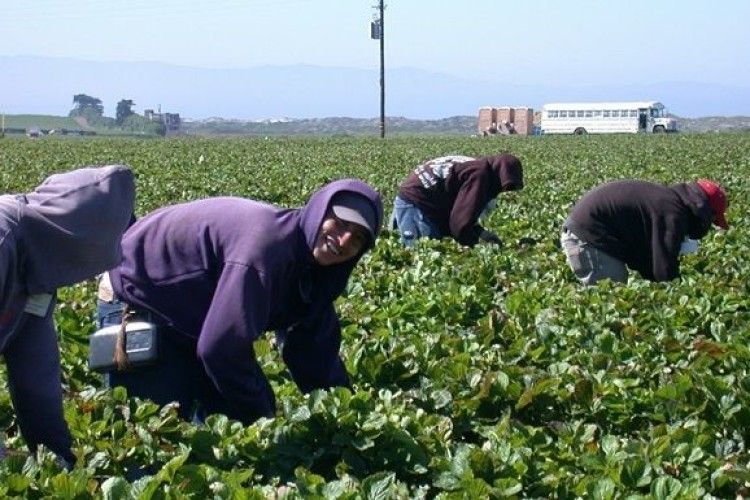 У Польщі підрахували зарплати наших земляків