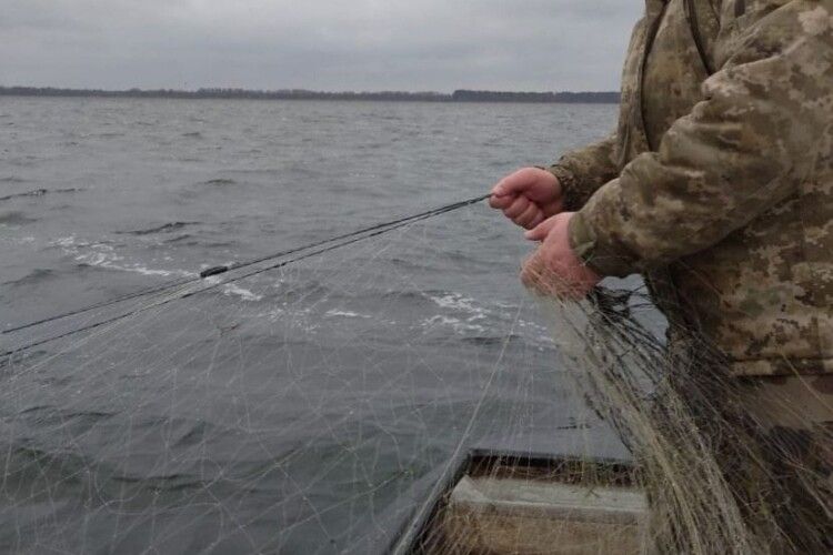 У Волинському нацпарку вилучено 15 браконьєрських знарядь лову