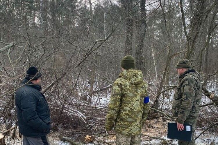 Прикордонники спіймали волинянина, який незаконно рубав ліс (Фото)