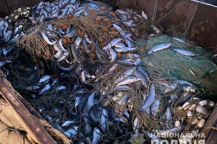 Браконьєри витягнули риби на... 1,7 млн гривень (Фото)