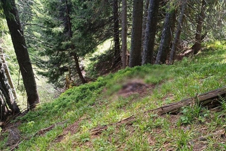 У горах на Закарпатті поблизу кордону виявили тіло чоловіка