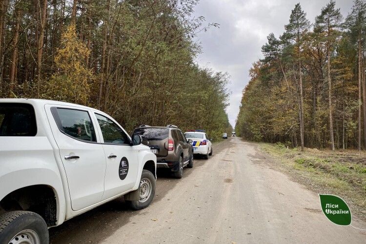 На Волині та Рівненщині полювали на крадіїв лісу