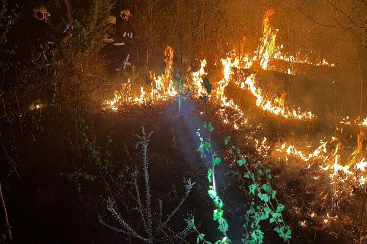 На Волині за добу вигоріло 24 гектарів сухостою: рятувальники ліквідували 17 пожеж
