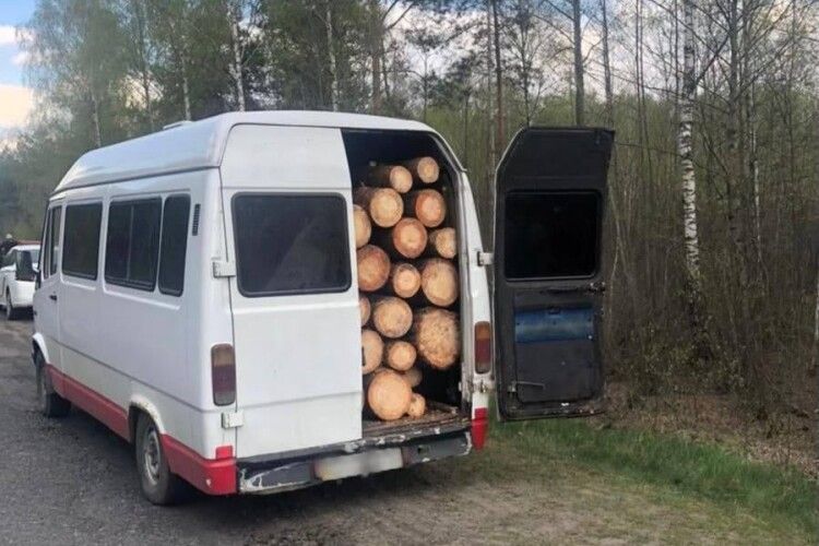 На Волині затримали навантажений краденими деревами бус (Фото)