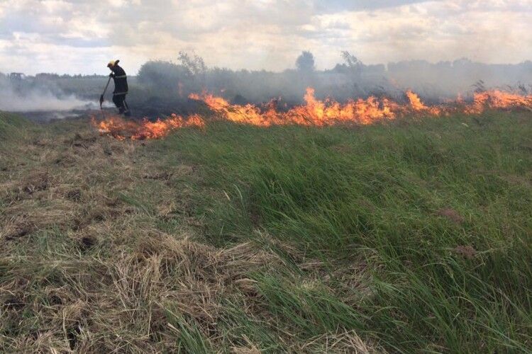 Іваничівський район: палили сміття – спалили 3 гектари поля