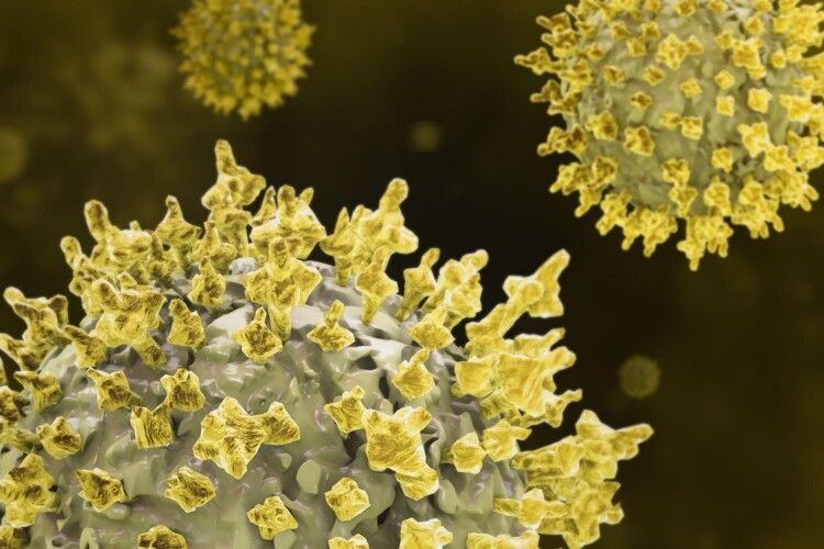 Як передається цитомегаловірус та коли потрібно здавати аналіз