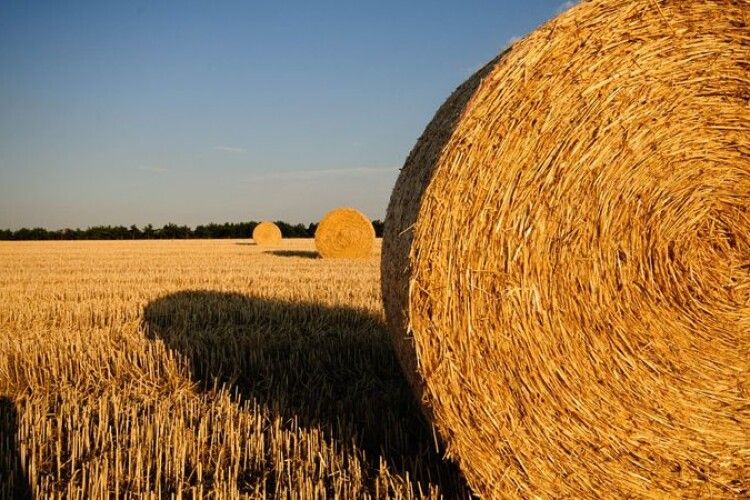 На Хмельниччині побудують електростанцію на соломі