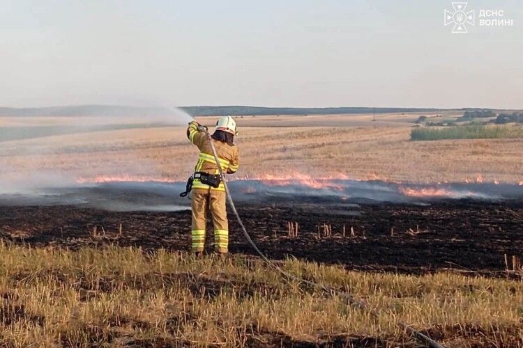 На Волині рятувальники продовжують боротися з займаннями сухої рослинності та торфу