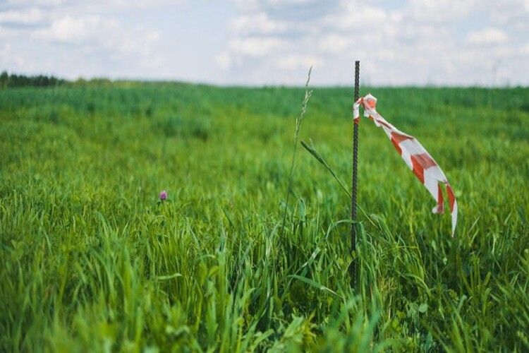 Сільраду на Волині змусили працювати через суд
