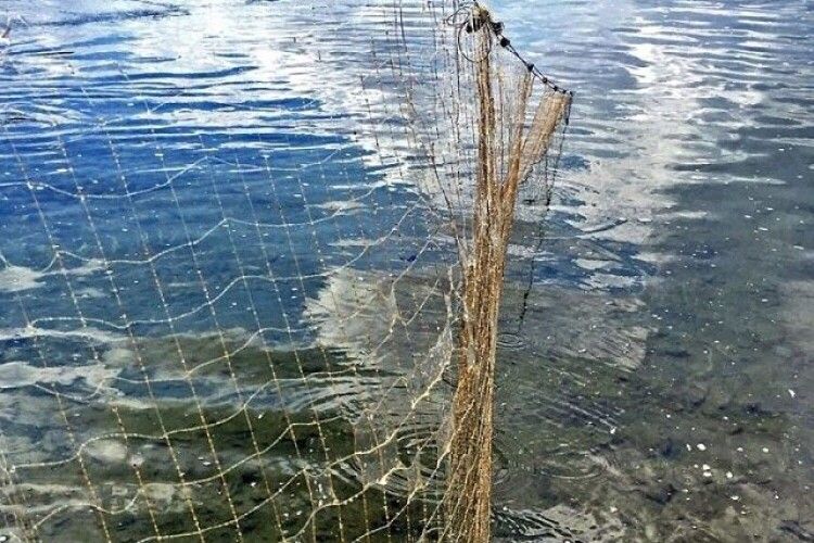 На Горохівщині рибінспекція оштрафувала власника ставка