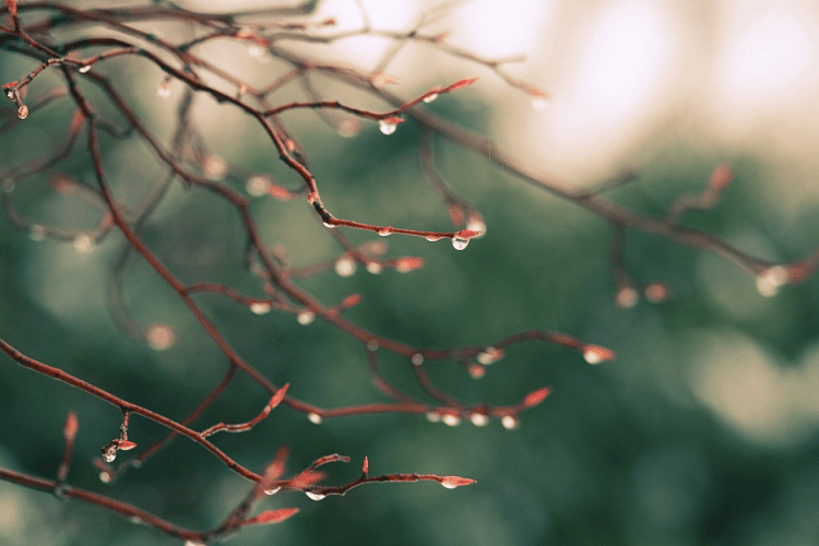 Якою буде погода в ці дні на Волині