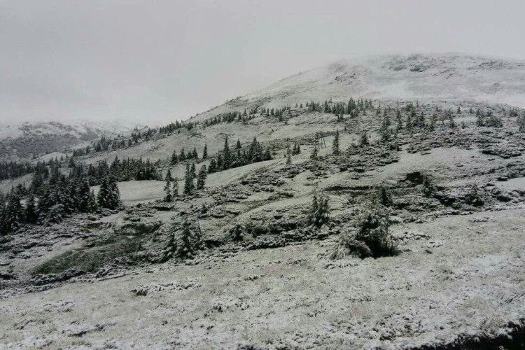 У Карпатах через сніг і туман евакуюють дитячий табір