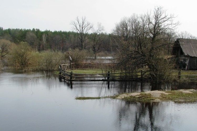 На Ратнівщині вода різко пішла на спад