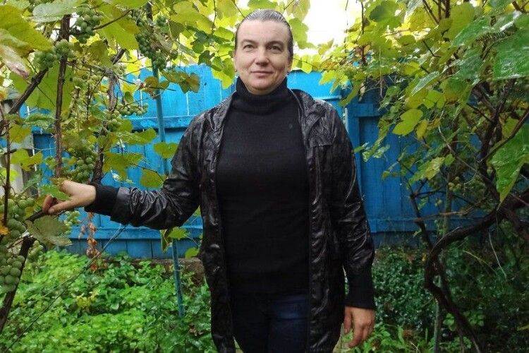Американська папайя і хурма. У Кропивницькому подружжя виростили сад, в якому 800 видів фруктів і ягід