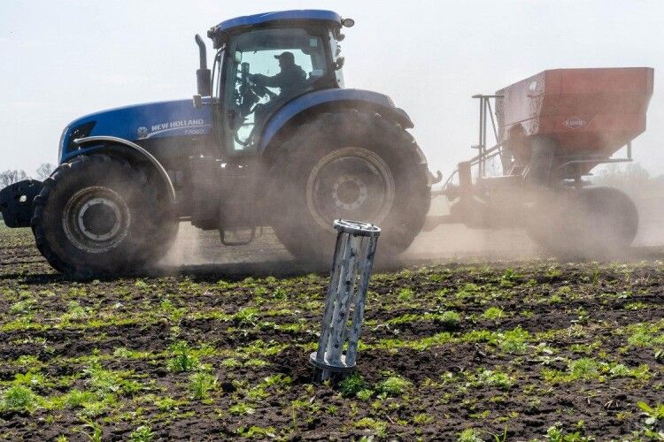 В Україні назвали три проблеми щодо збору врожаю