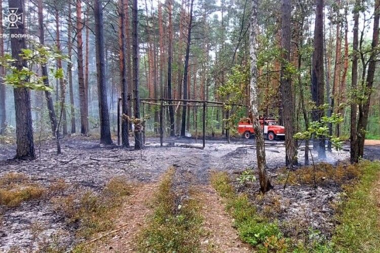 У Луцькому районі невідомі підпалили ліс
