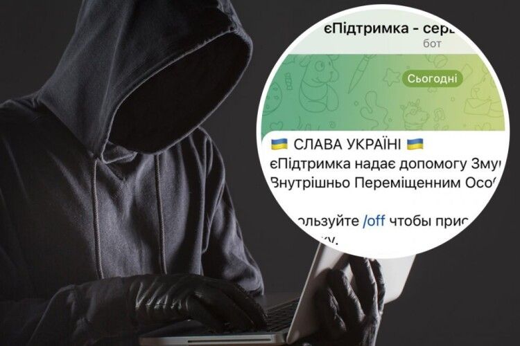 На Волині жінка хотіла отримати «єДопомогу», але віддала усі свої гроші шахраям