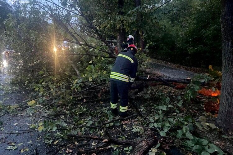 На Волині з дороги прибирали аварійне дерево, вантажівку та витягали легковик з багнюки 