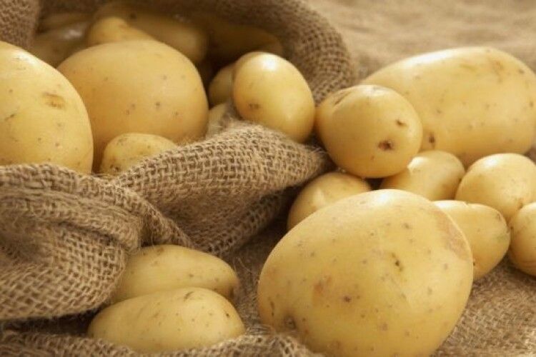 Поліщуки, майте на увазі: Україна імпортувала рекордну кількість картоплі