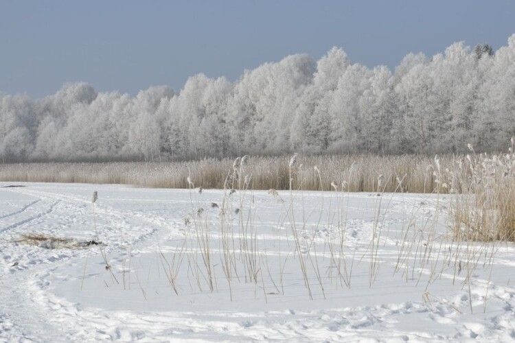 У нацпарку на Волині зафіксували кліматичні зміни