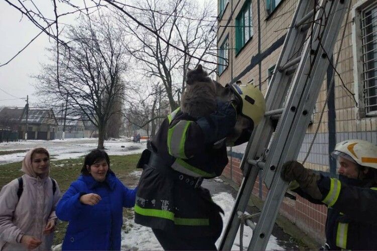 Бійці ДСНС врятували галасливого кота-верхолаза