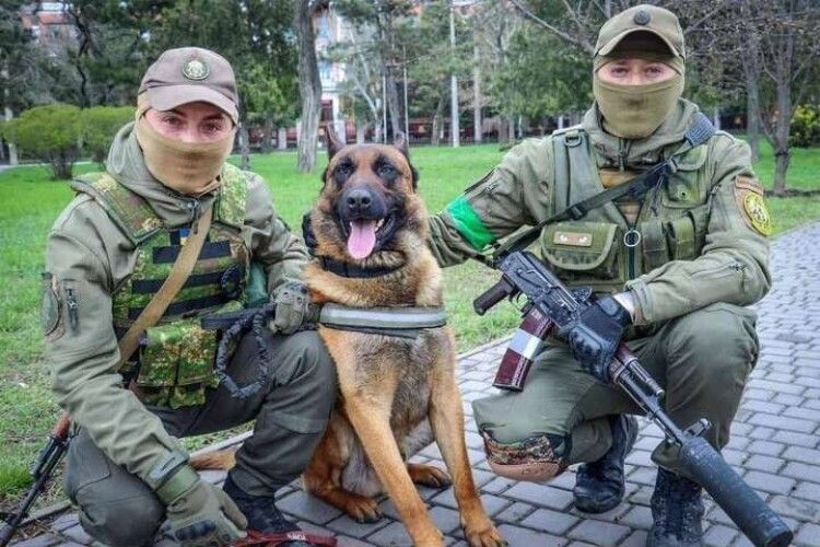 російський собака перейшов на сторону ЗСУ і за місяць вивчив українську