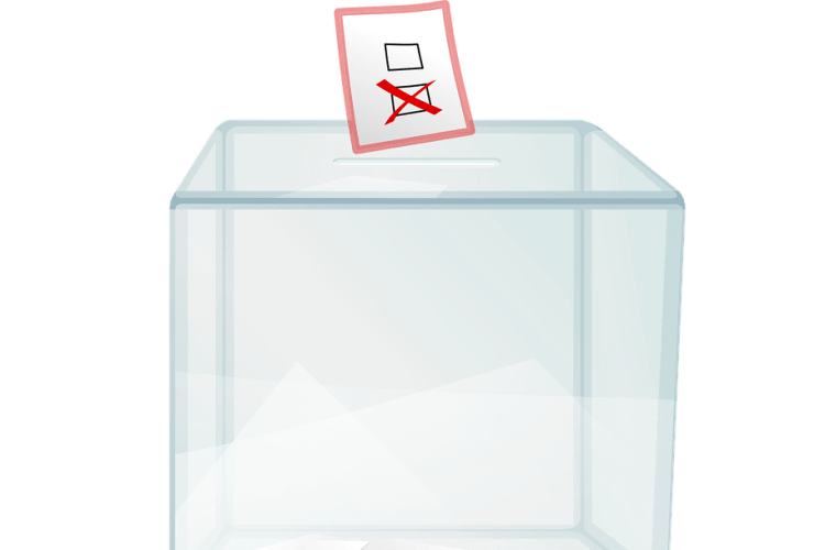 З 10 липня лучани можуть перевіряти свої дані у списках виборців