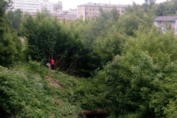 У Луцьку розчищають береги Сапалаївки: видалять більше 200 аварійних дерев