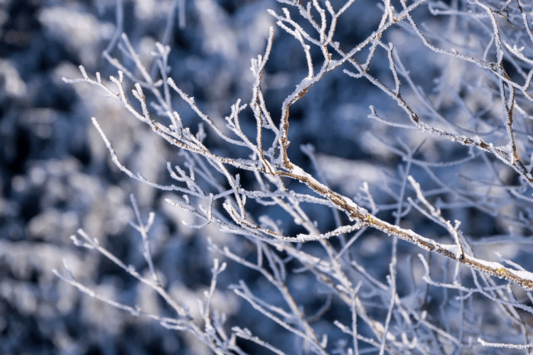 В Україні на Різдво зміниться погода: названо області, де вдарить похолодання 