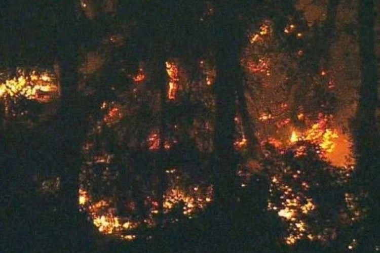 Вкрадений літак розбився у США