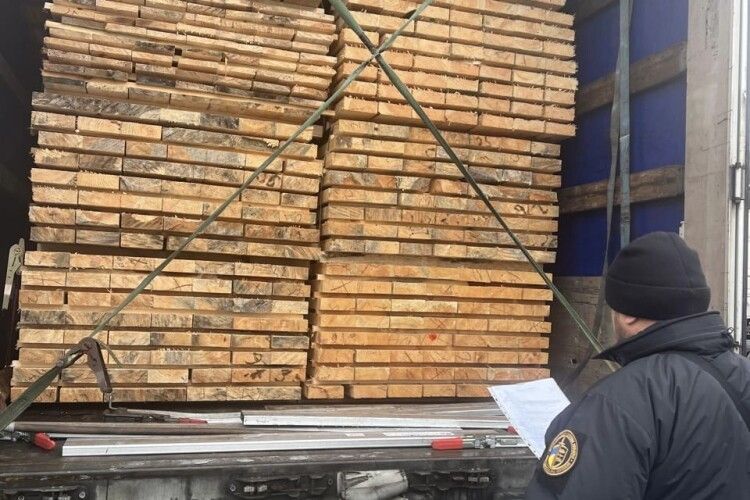 Волинські митники зупинили експорт соснових брусів із підробленим сертифікатом