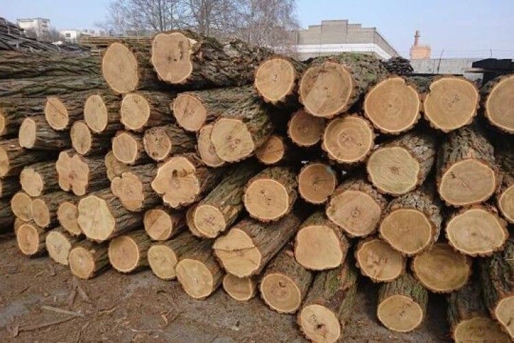 Минулого року на Поліссі реалізували понад 320 тисяч кубометрів дров