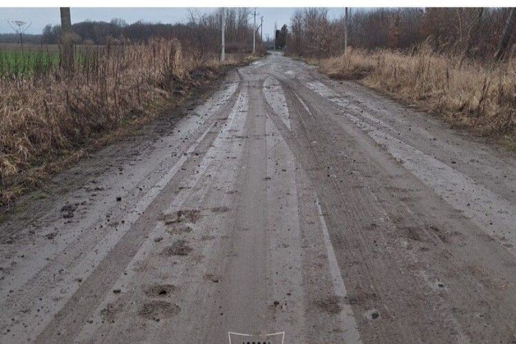 У селі поблизу Луцька покарали порушника благоустрою