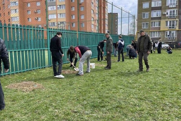 Дуби Шевченка єднають Україну: на території Луцького ліцею висадили 25 молодих дерев-спадкоємців