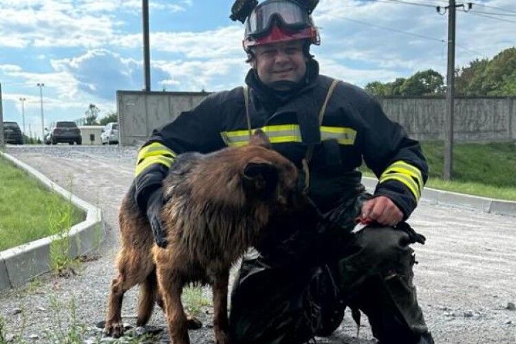 Кого у Рівному рятувальники дістали з котловану з водою (Фото)