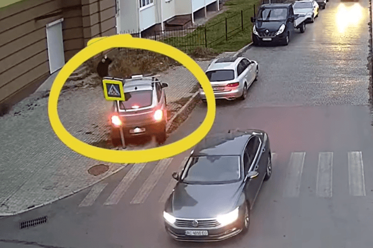 У Луцьку водій збив дорожній знак і втік (Відео)