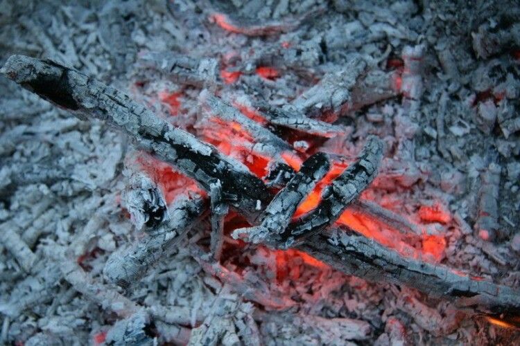 Викидали попіл, а загорілась дровітня: на Волині вогонь наробив збитків