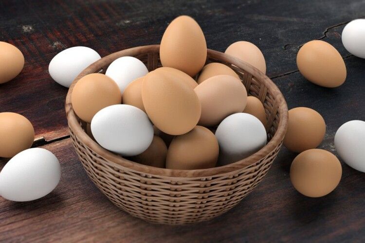 На Рівненщині зросло виробництво молока і яєць 