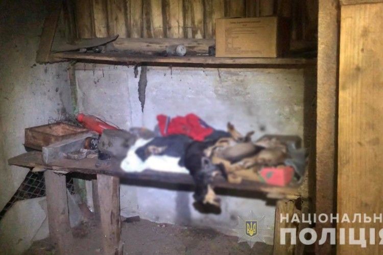 На подвір'ї 19-річної рівнянки виявили мертвих цуценят