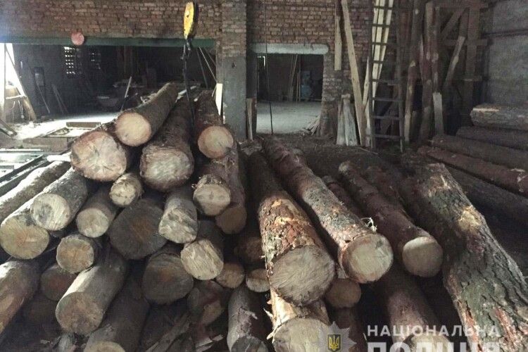 Поліцейські виявили у мешканця Костопільського району 30 кубів деревини без документів
