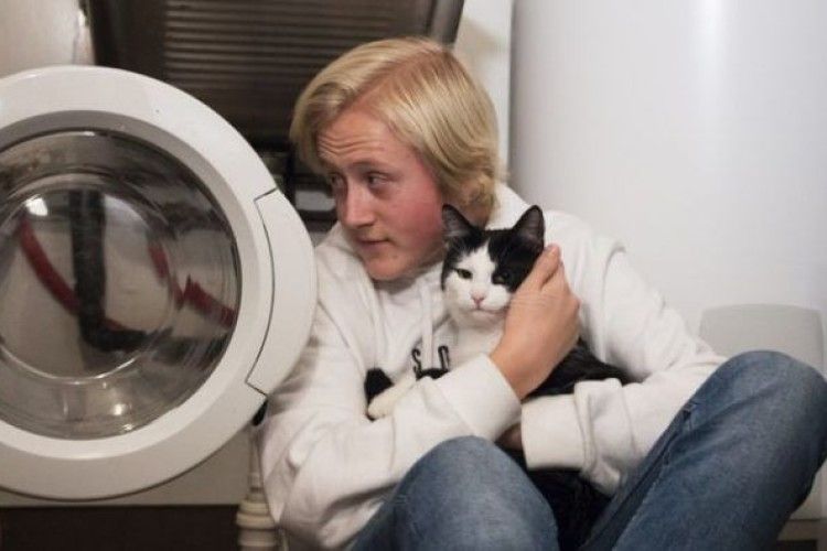 Цікавість кота ледь не коштувала йому життя