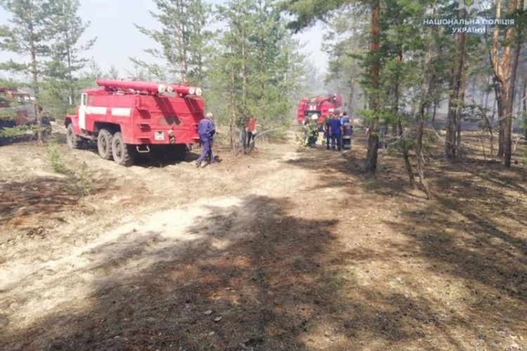 У Луганській області горить ліс