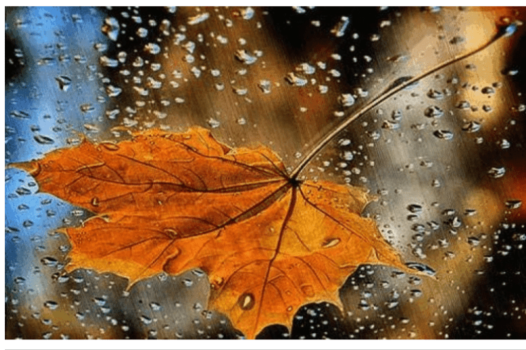 Чи надовго дощі прийшли на Волинь?