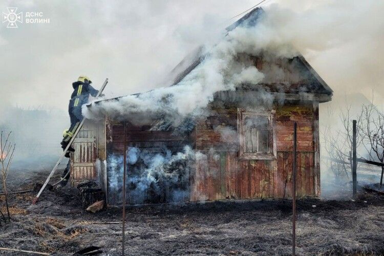 Горів сухостій, дачний будинок та торф: на Волині приборкали 15 пожеж (Фото)