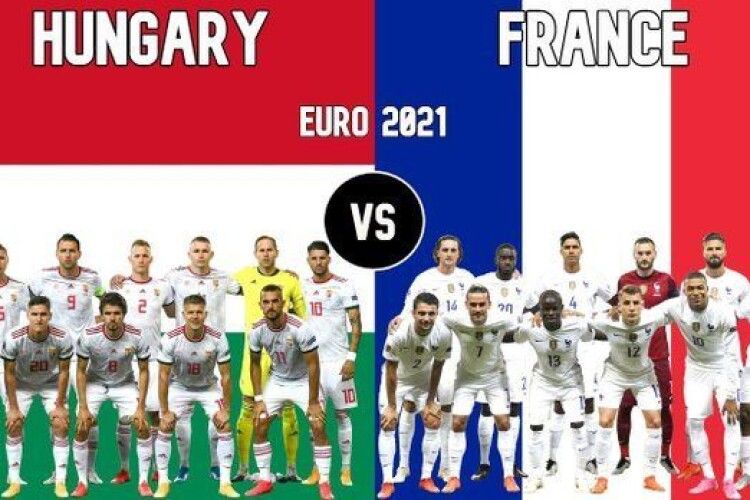 Кріль-прогнозист моментально визначив переможця у матчі Угорщина - Франція (Відео, анонс)